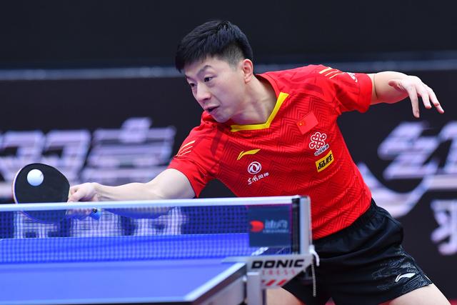 不仅代表了 不仅代表了